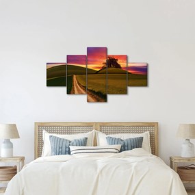 Obraz pola i kolorowego nieba (125x70 cm)