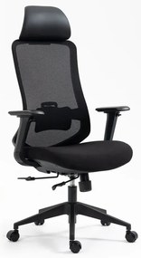 Fotel ergonomiczny Ergon czarny SIGNAL