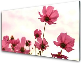 Szkło do Kuchni na Ścianę Pastelowy Akcent Roślinny