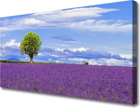 Obraz canvas Potężny Nur Górskiego Wodospadu