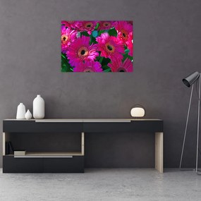 Obraz na szkle - kwiaty (70x50 cm)