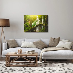 Obraz na szkle - kameleon (70x50 cm)