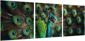 Obraz – Paw (z zegarem) (90x30 cm)