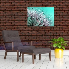 Obraz - zroszona roślina (70x50 cm)