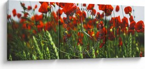 Obraz maków na wietrze (z zegarem) (90x30 cm)