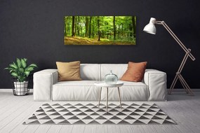 Obraz na Płótnie Las Ścieżka Natura