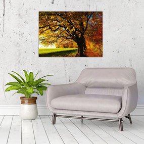 Obraz jesiennego drzewa (70x50 cm)