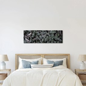 Obraz - Zamrożone rośliny (z zegarem) (90x30 cm)