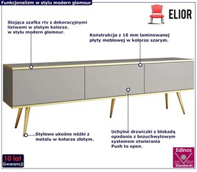 Stojąca szafka rtv szary + złoty Egner 3X