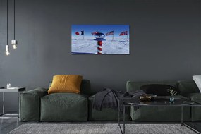 Fotoobraz na płótnie Brazylijska Flaga