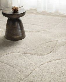 Dywan Ardano cream 200x290 cm