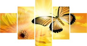 Obraz - Żółty motyl z kwiatkiem (125x70 cm)