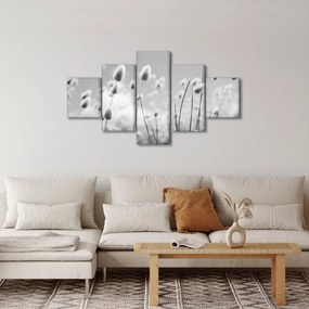 Obraz - Trawa z ogonkiem króliczka Boho (125x70 cm)