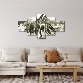 Obraz - Żyrafy, vintage (125x70 cm)