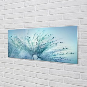 Panel nad Blat Kuchenny Ulotne Krople na Dmuchawcu