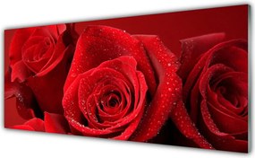 Panel Kuchenny Aksamitne Płatki Róż