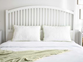 Klasyczna poduszka Aloe Vera II 50x70 cm 50x70 cm