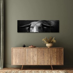 Obraz - Krowa (170x50 cm)