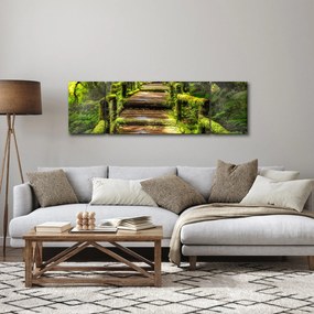 Obraz schodów w deszczowym pralesie (170x50 cm)