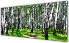 Panel Kuchenny Spokój Leśnej Ścieżki