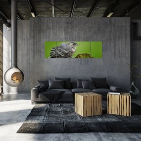 Obraz - Muchołówka (170x50 cm)