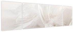 Obraz - Pióro (170x50 cm)