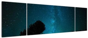 Obraz nocnego nieba z gwiazdami (170x50 cm)