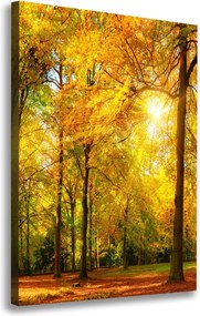 Foto obraz canvas pionowy Las jesienią