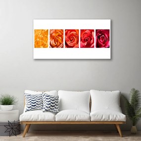 Obraz Canvas Róże Kwiaty Roślina