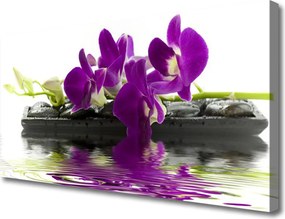 Obraz canvas Letni Ogród na Płótnie