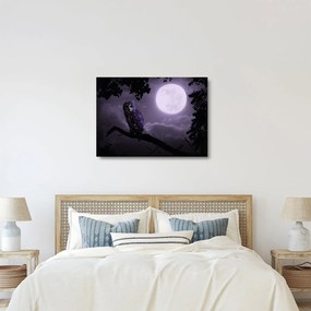 Obraz na szkle - Nocna sowa, fioletowy (70x50 cm)