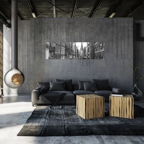 Obraz - Holandia (170x50 cm)