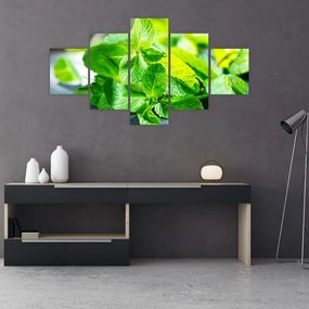 Obraz mięty (125x70 cm)