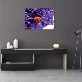 Obraz na szkle - Plaża morska (70x50 cm)