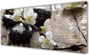 Dekor Szklany do Kuchni Kwitnąca Gałązka Jabłoni