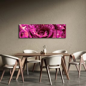 Obraz różowego kwiatu róży (170x50 cm)