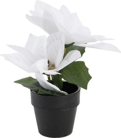 Gwiazda betlejemska sztuczna w doniczce, wys. 18 cm