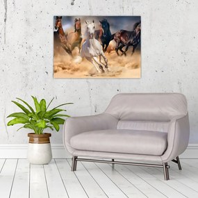 Obraz - Konie na pustyni (70x50 cm)