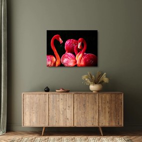 Obraz na szkle - czerwone flamingi (70x50 cm)