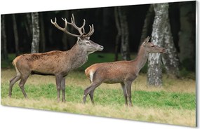 Panel Szklany Jeleń w Gęstwinie Leśnej