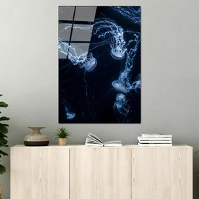 Szklany obraz 70x100 cm Jelly Fish – Wallity