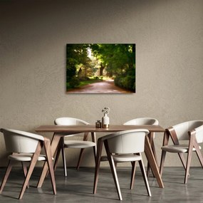 Obraz na szkle - park (70x50 cm)