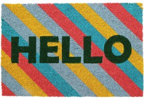 Wycieraczka kokosowa Hello colour, 39 x 59 cm