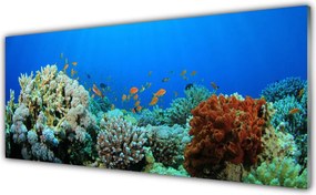 Panel Szklany do Kuchni Kolorowe Życie Oceanu