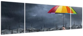 Obraz - Parasole (170x50 cm)