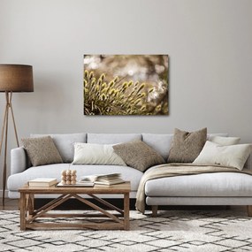 Obraz - Zieleń (70x50 cm)