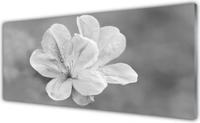 Obraz Akrylowy Kwiaty Roślina