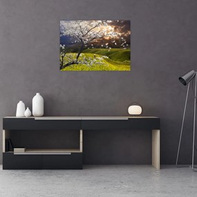 Obraz na szkle - Kwitnące drzewo w krajobrazie (70x50 cm)