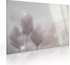 Obraz na szkle - Krokusy (70x50 cm)