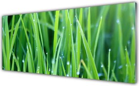 Panel nad blat kuchenny Poranna Świeżość Trawy